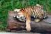 _MG_2239_small img.jpg